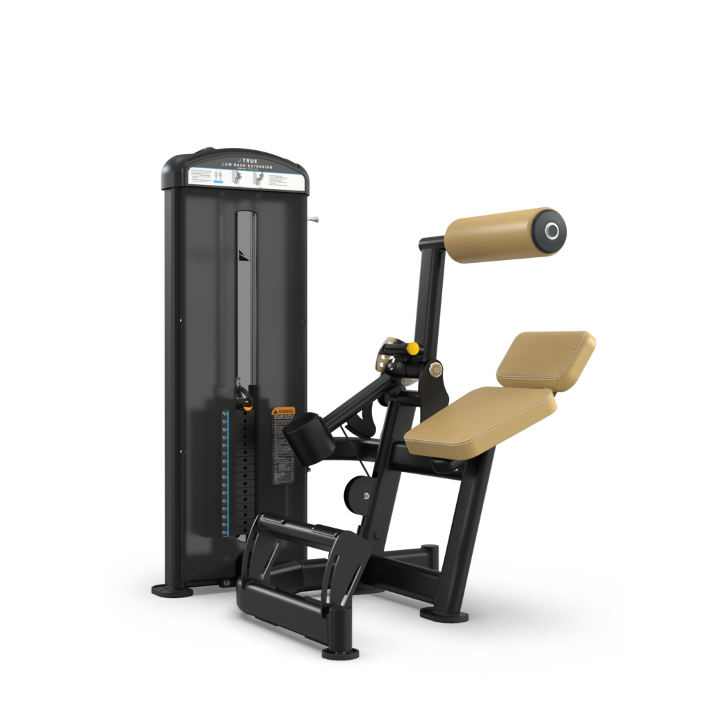 Lower back curl machine sale