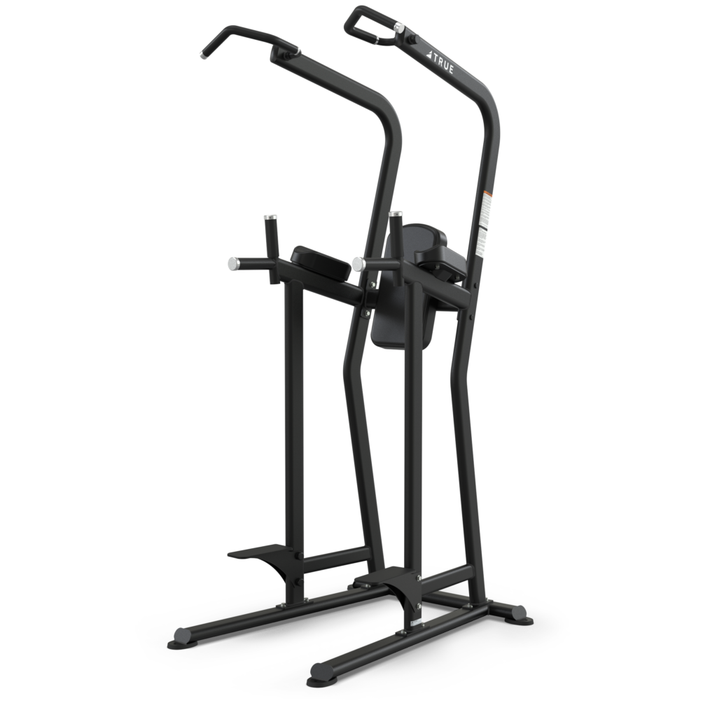 FS 23 Knee Raise Dip Chin Station True Fitness Commercial Exercise Equipment