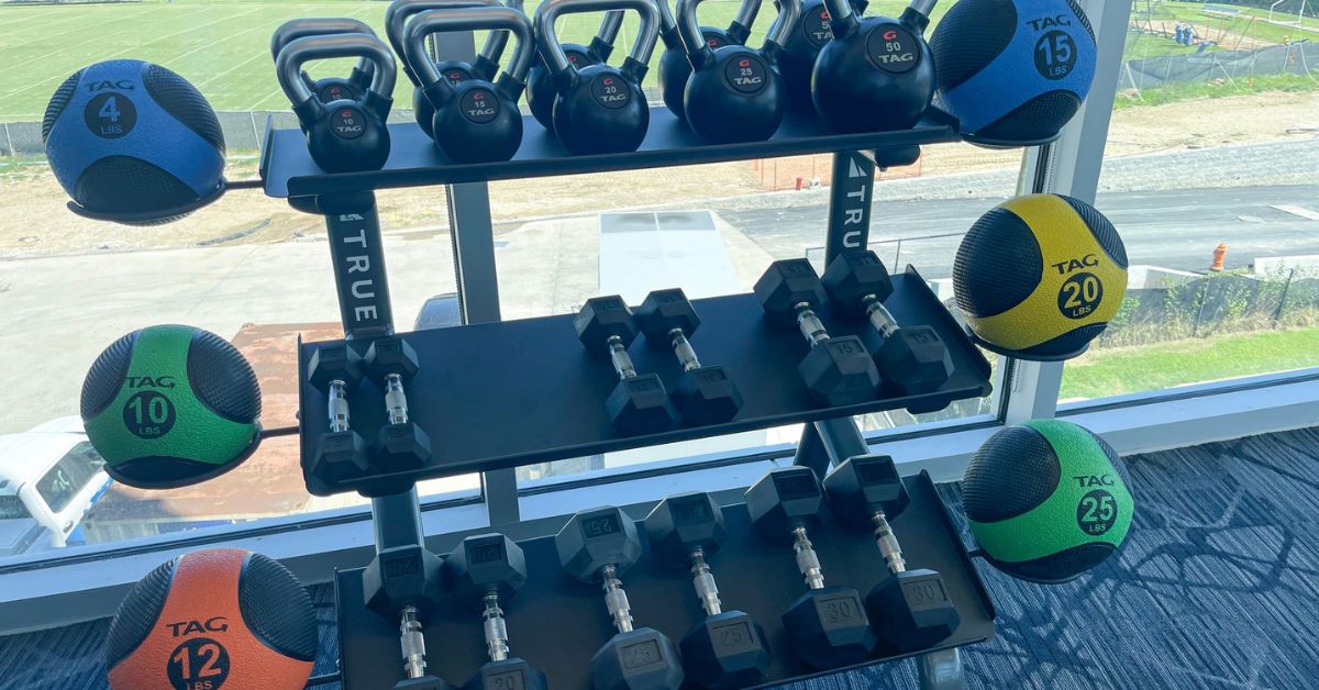 Free Weights vs. Machines: Which Is Better for Your Gym?
