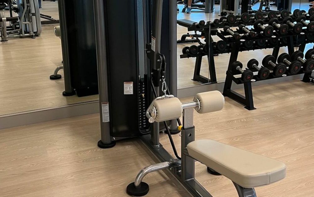 自由重量与器械：哪个更适合您的健身房？