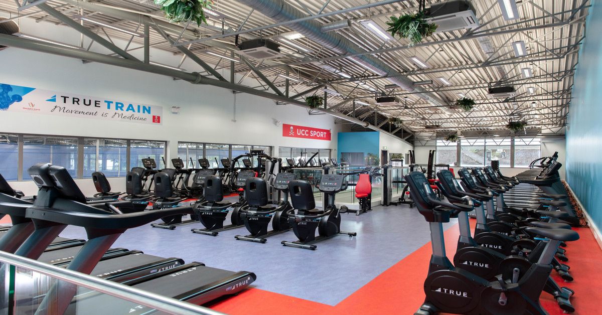 Gym Design Ideas for University Campuses