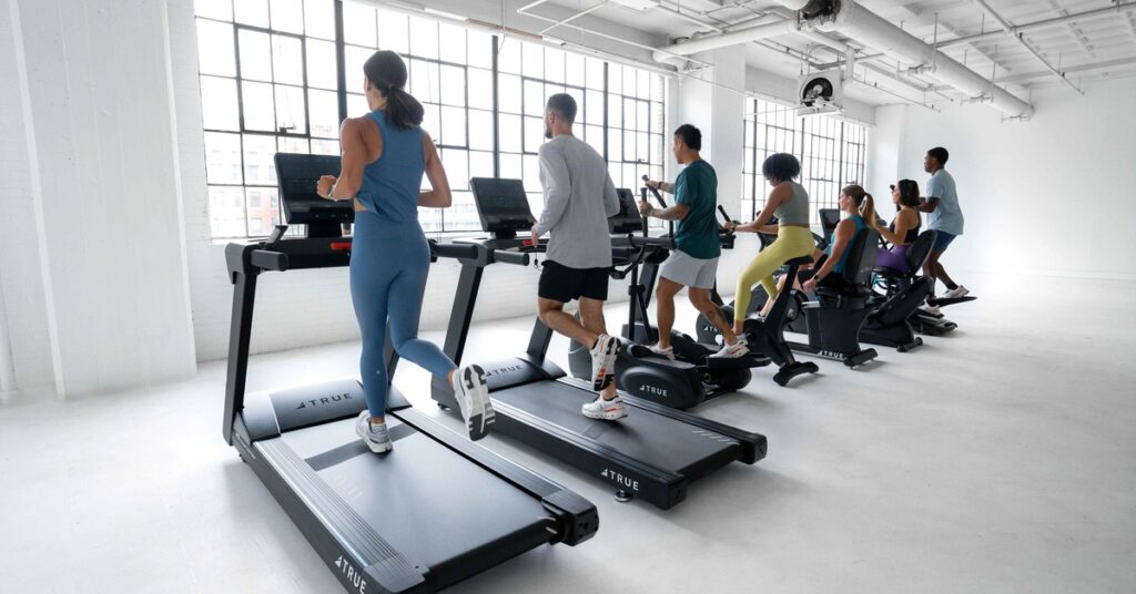Setting Up Gym Areas for Different Fitness Levels